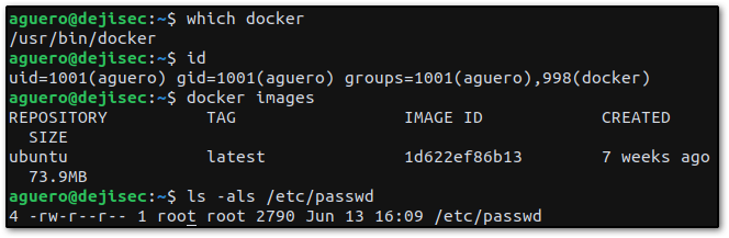Docker enumeration output